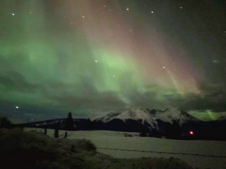 Northern skies illuminated with northern lights