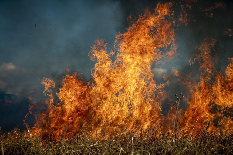 “It’s been drying up here,”: Crews continue to battle vast Donnie Creek wildfire
