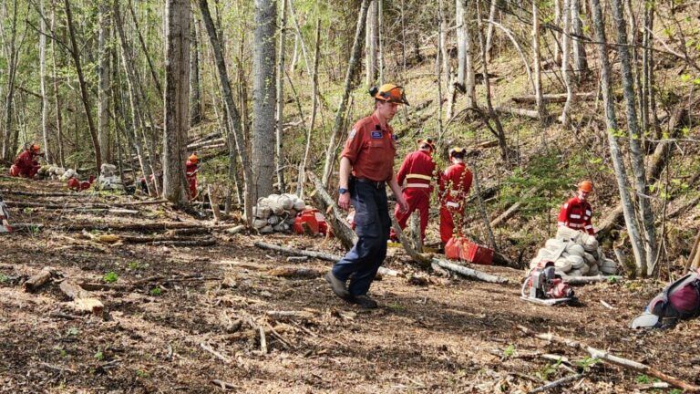 All wildfire evacuation alerts and orders rescinded in BC