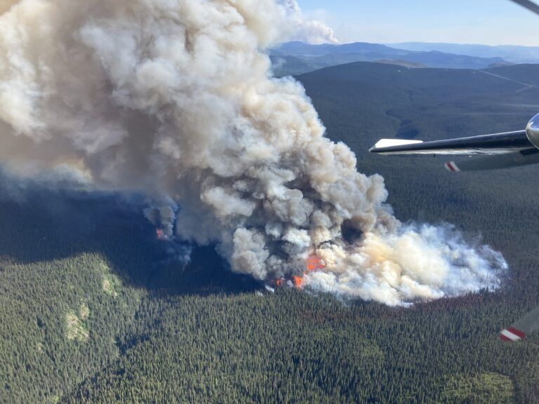 Area restriction expiration around Peacock Creek Wildfire extended
