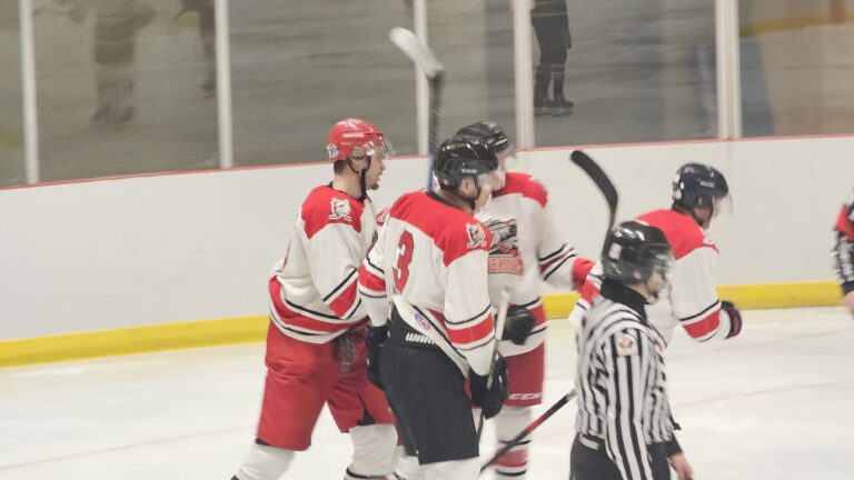 Wolverines lose opener in 2nd round of the playoffs