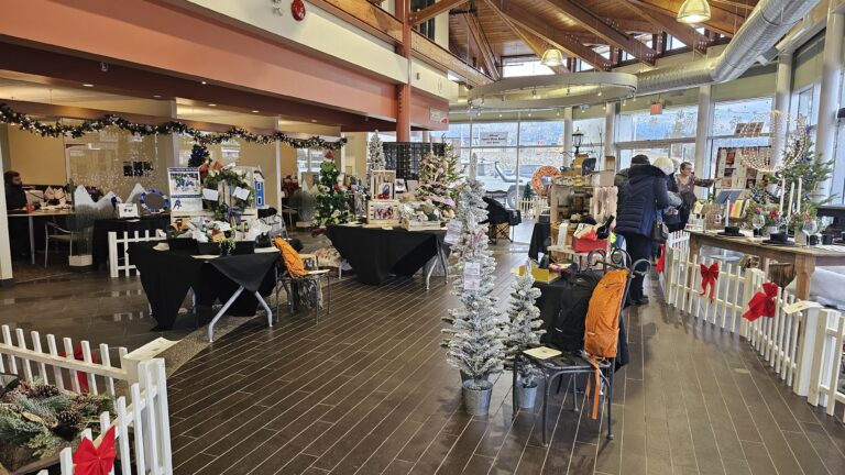 Community Christmas spirit felt during Festival of Trees