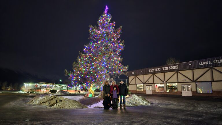 Christmas fundraiser for wildlife rehabilitation returns