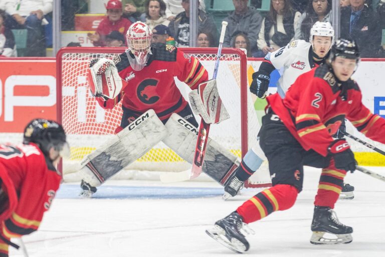 Davies plays OT hero as Portland eliminates Cougars