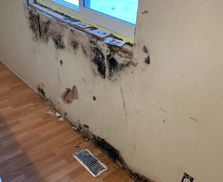 Remote First Nation in the north sounds alarm bell over current housing conditions