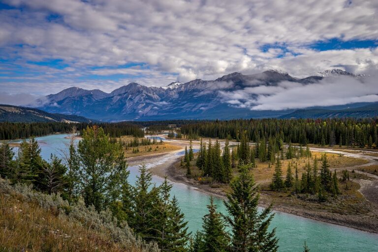 Alberta government says more than 10K evacuated from Jasper as wildfire concerns continue to grow