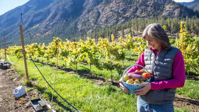 BC Farmers can apply to buy technologies through provincial program