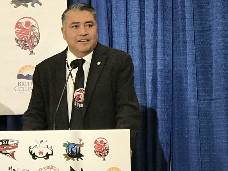 BC Regional Chief says alert system for missing Indigenous children should be implemented
