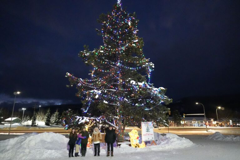 Northern Lights Wildlife Shelter close out annual tree lighting fundraiser