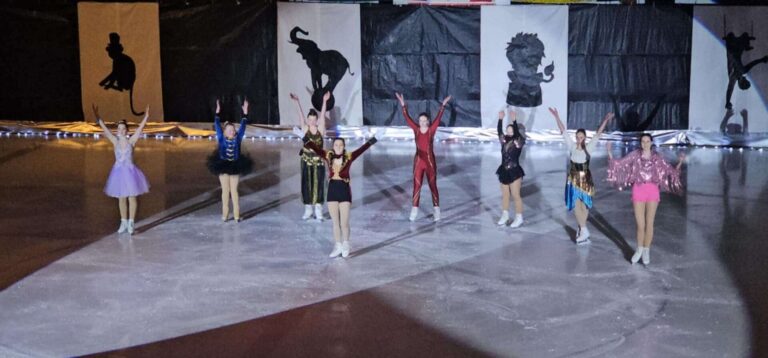 Circus performed on ice in Houston