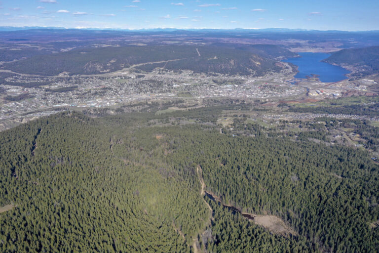 COFI “disappointed” by absence of support for Forestry Sector in BC Budget 2025