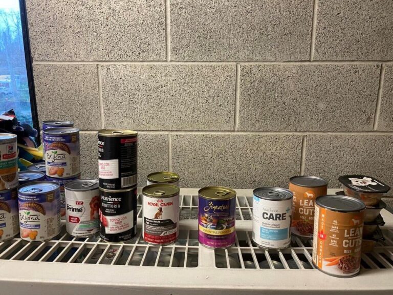BC SPCA’s pet food banks seeing increased demand but fewer donations